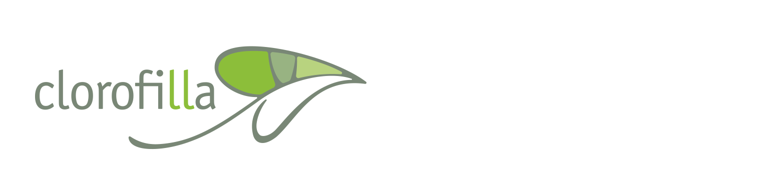Blog da Clorofilla Consultoria